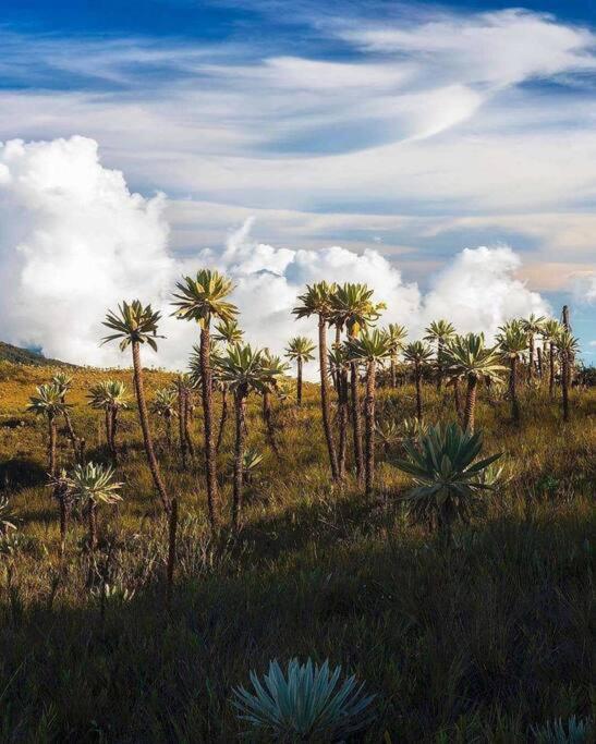 Сasa de vacaciones Vista Al Tomine Y Naturaleza Guatavita