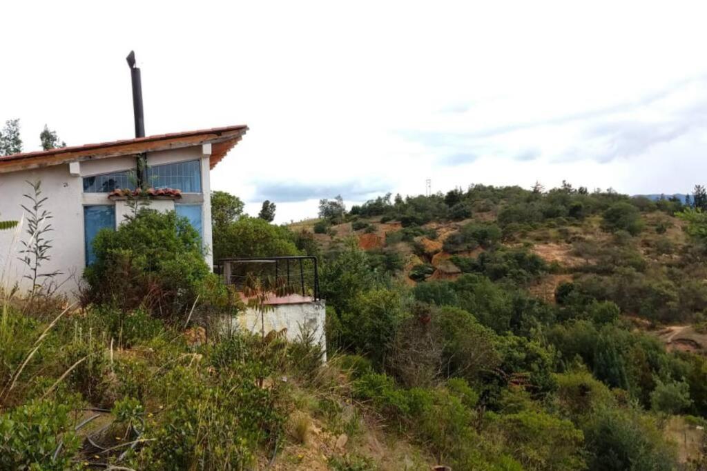 Vista Al Tomine Y Naturaleza Guatavita