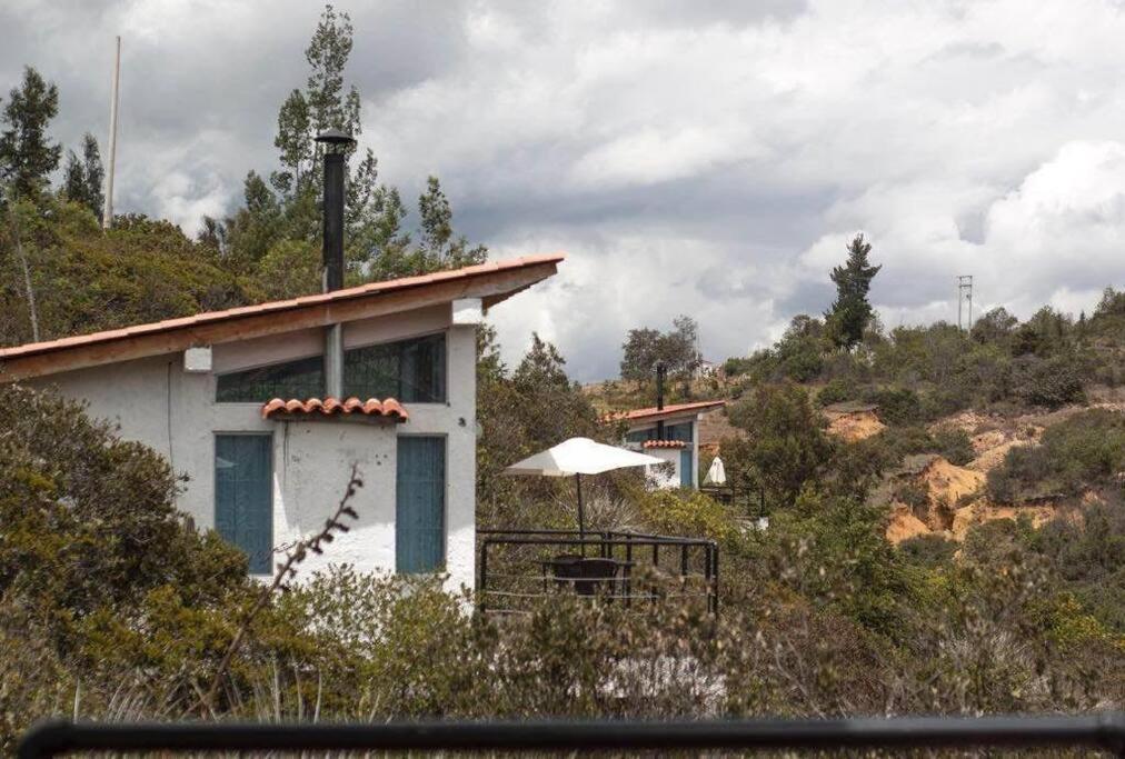 Vista Al Tomine Y Naturaleza
